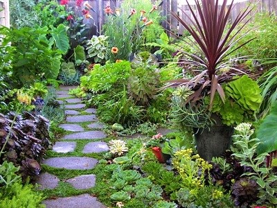 Nature friendly garden